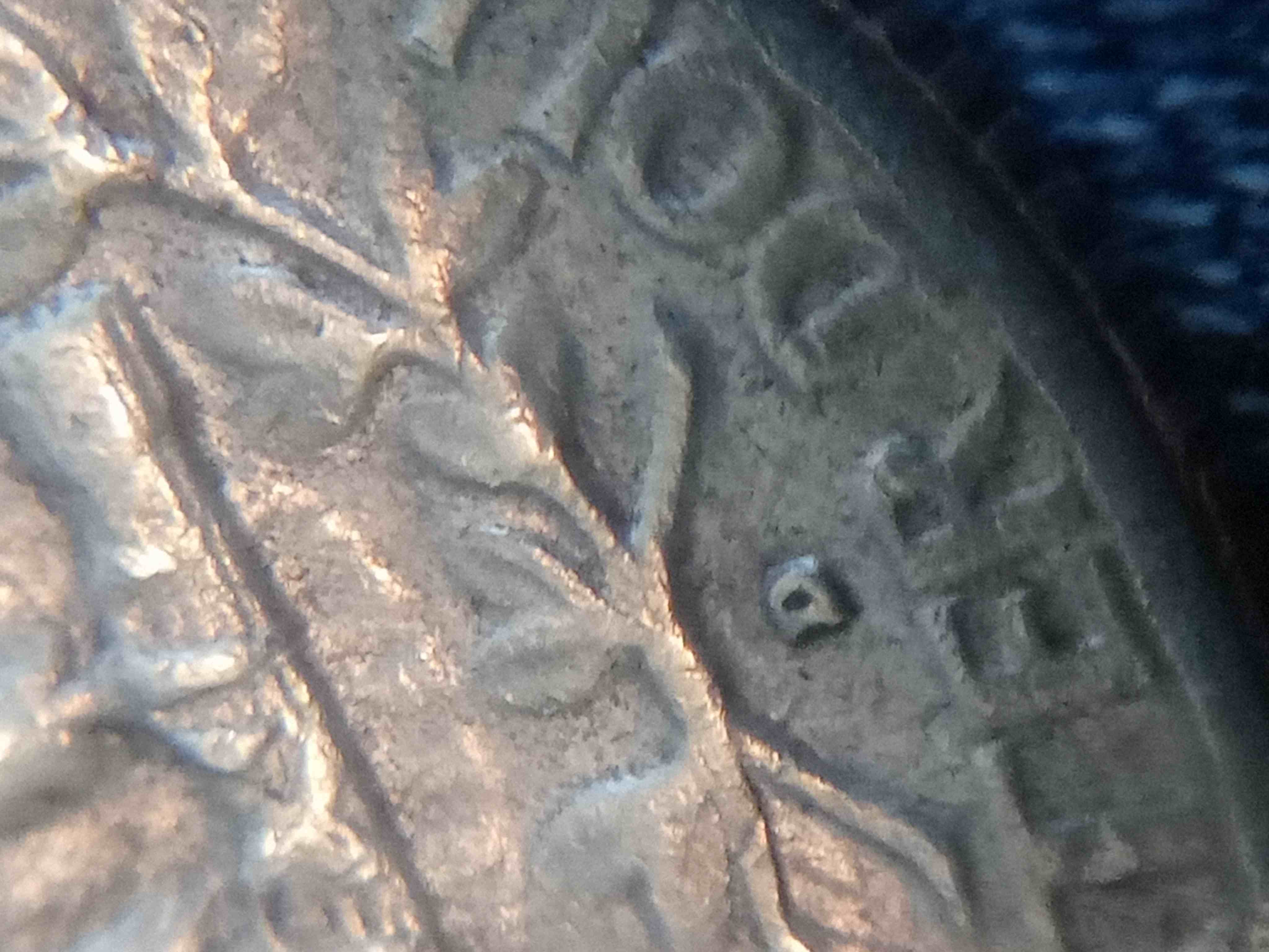 Help-Please.-Is-This-1962-RPM-Washington-Type-C?